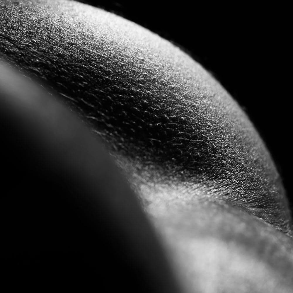 The Place Where Skin Forgets It Ends — black and white photographic artwork by Nick Brand